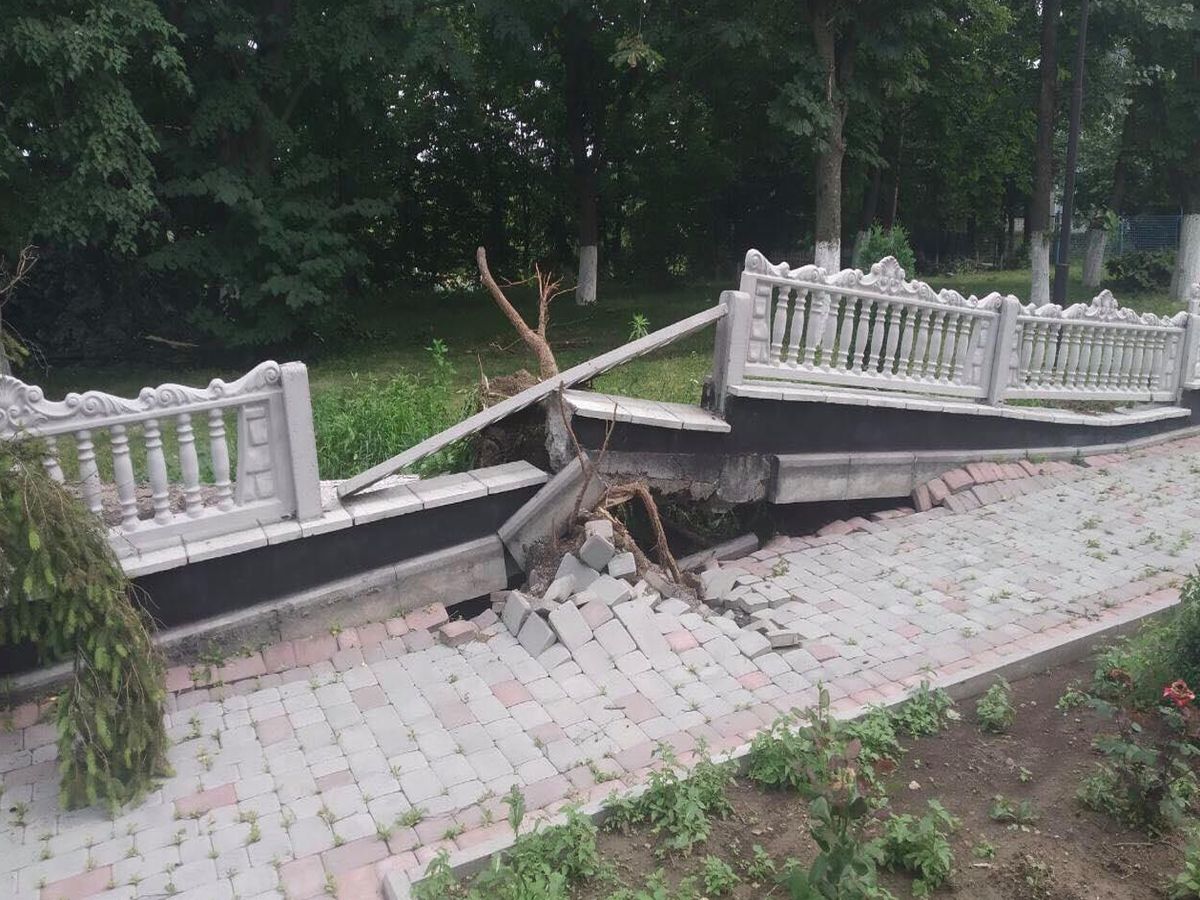 povaleni dereva na vinnychchyni 2