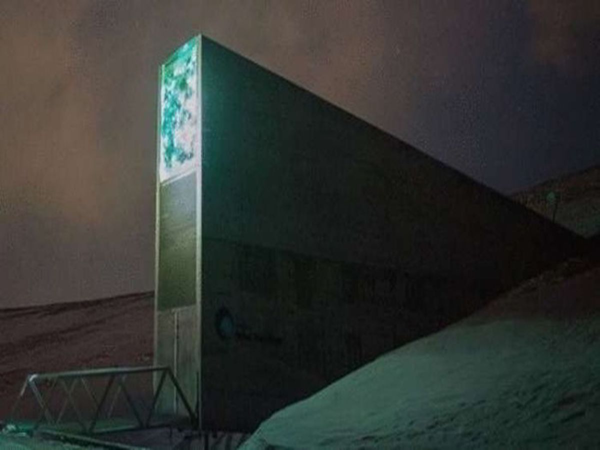 vsesvitnye skhovyshche nasinnya
