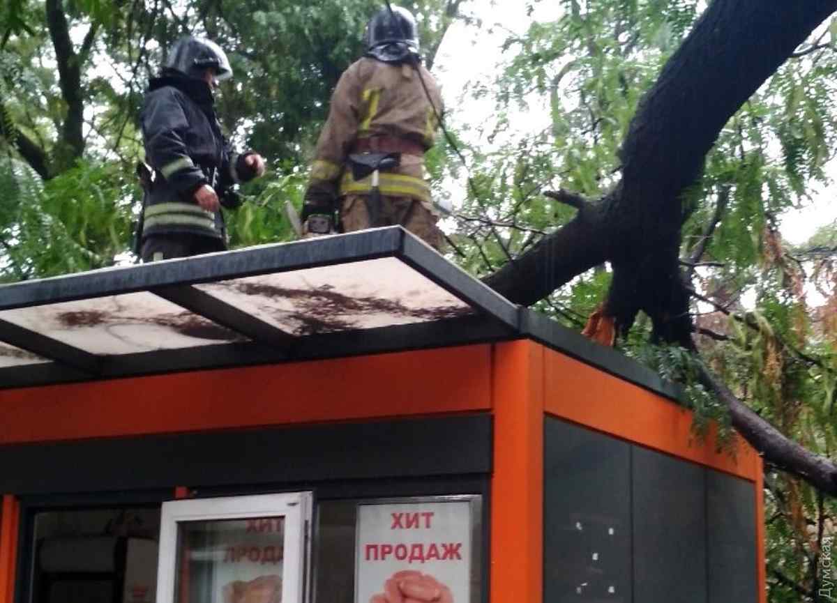 povaleni-dereva-odesa-2 1