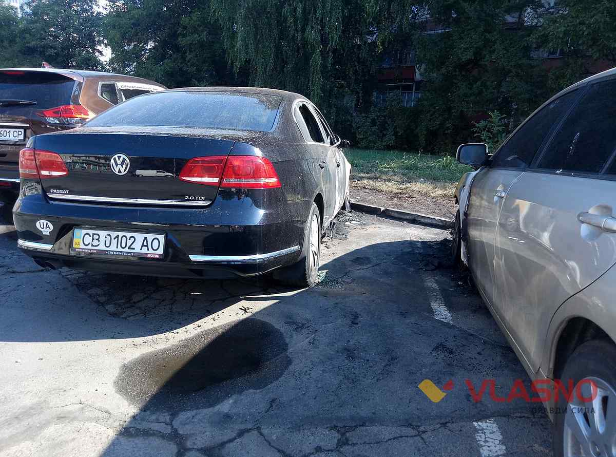 gorilu-avtivku-vinn-4 1