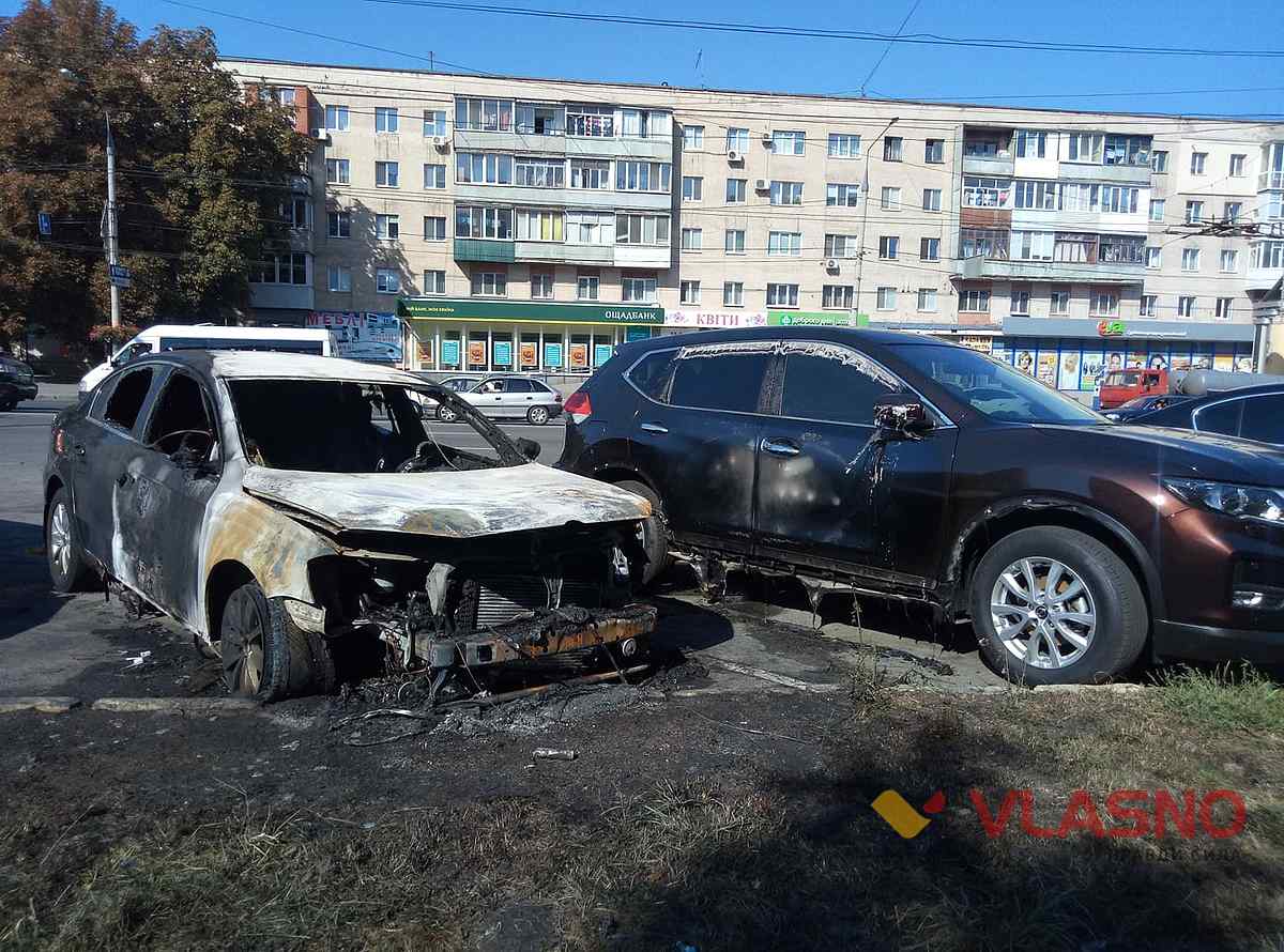 gorilu-avtivku-vinn-7 1