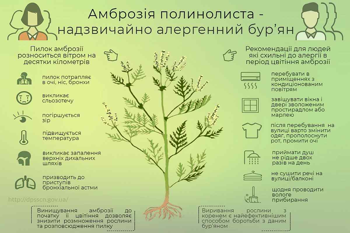 amdrozii
