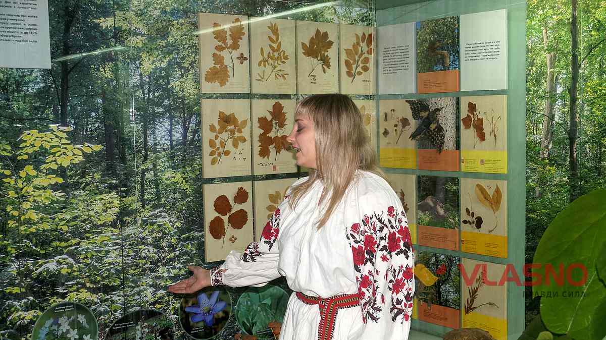 hellovin vinnitsia museum 38 1
