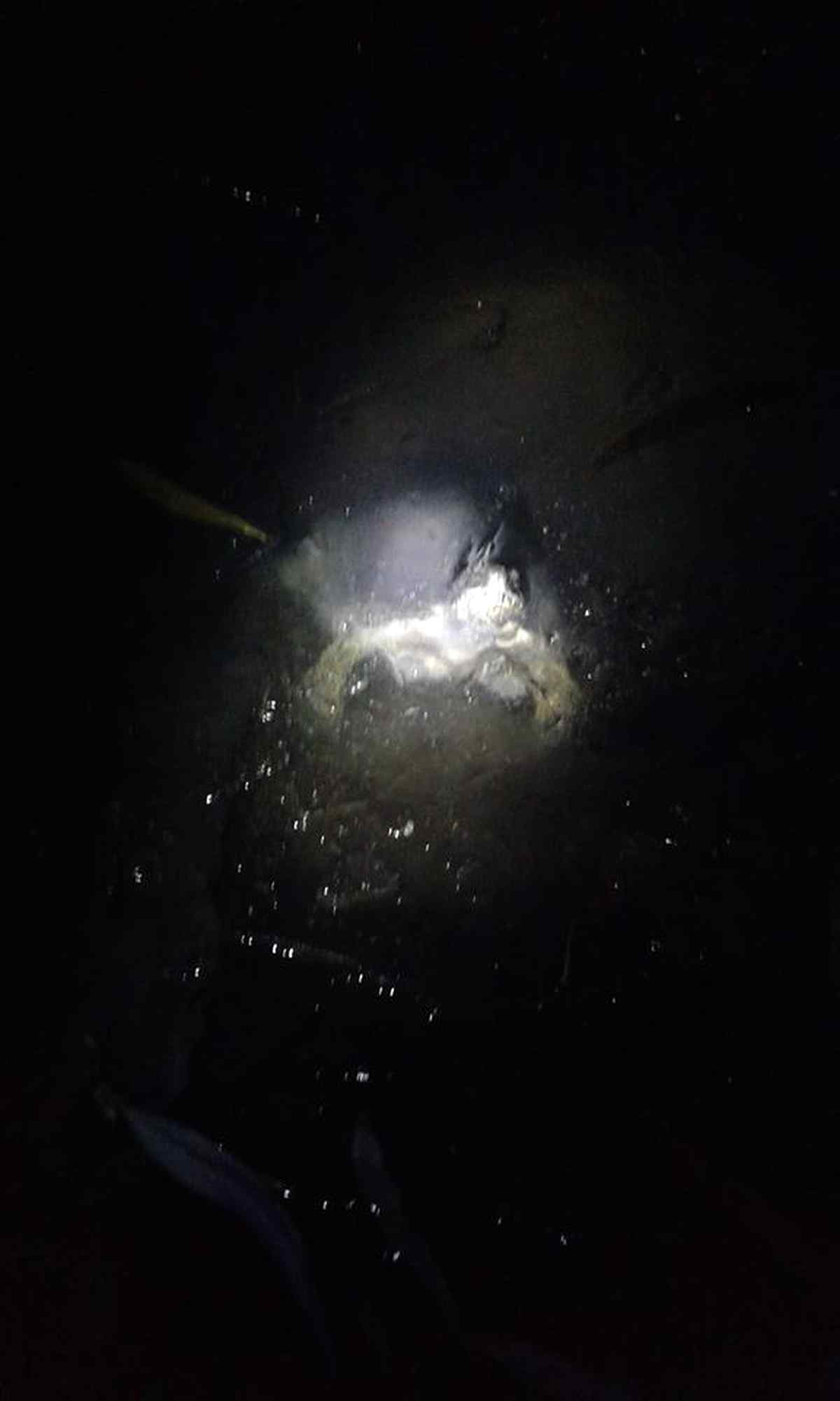 cherepahy-vinnitsia- 1