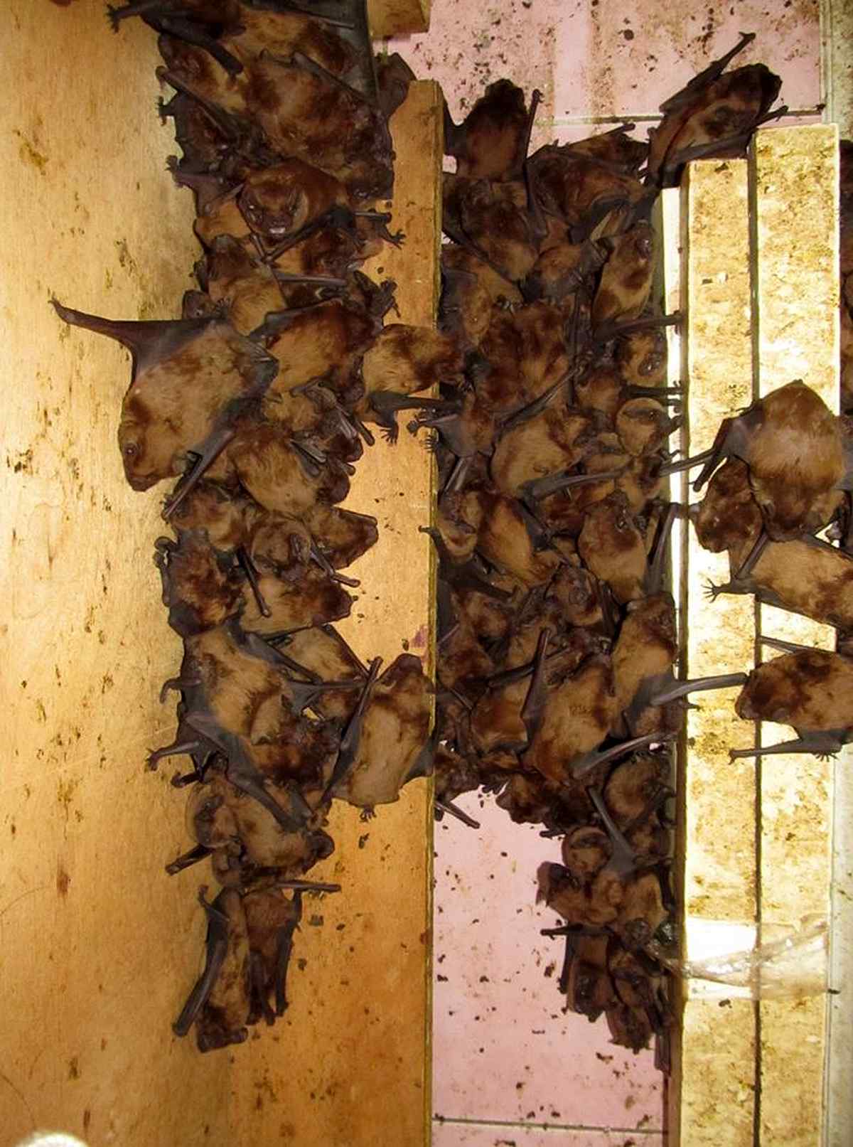 kazhany-vinnitsia-3 1
