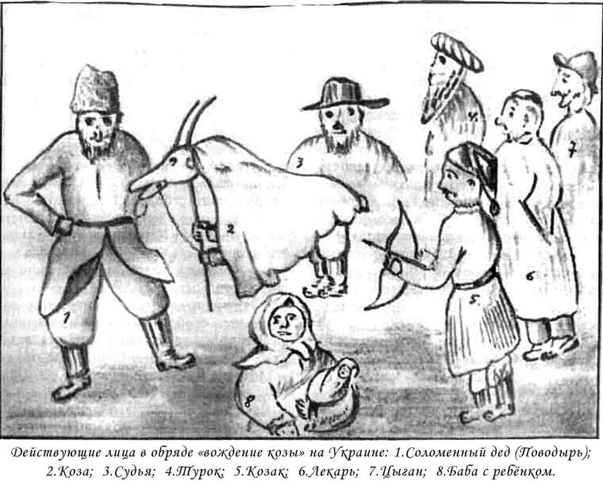 malanka 1 1