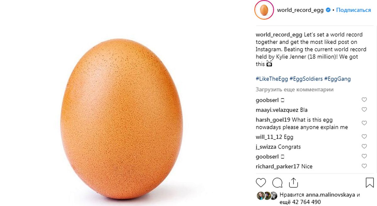 egg