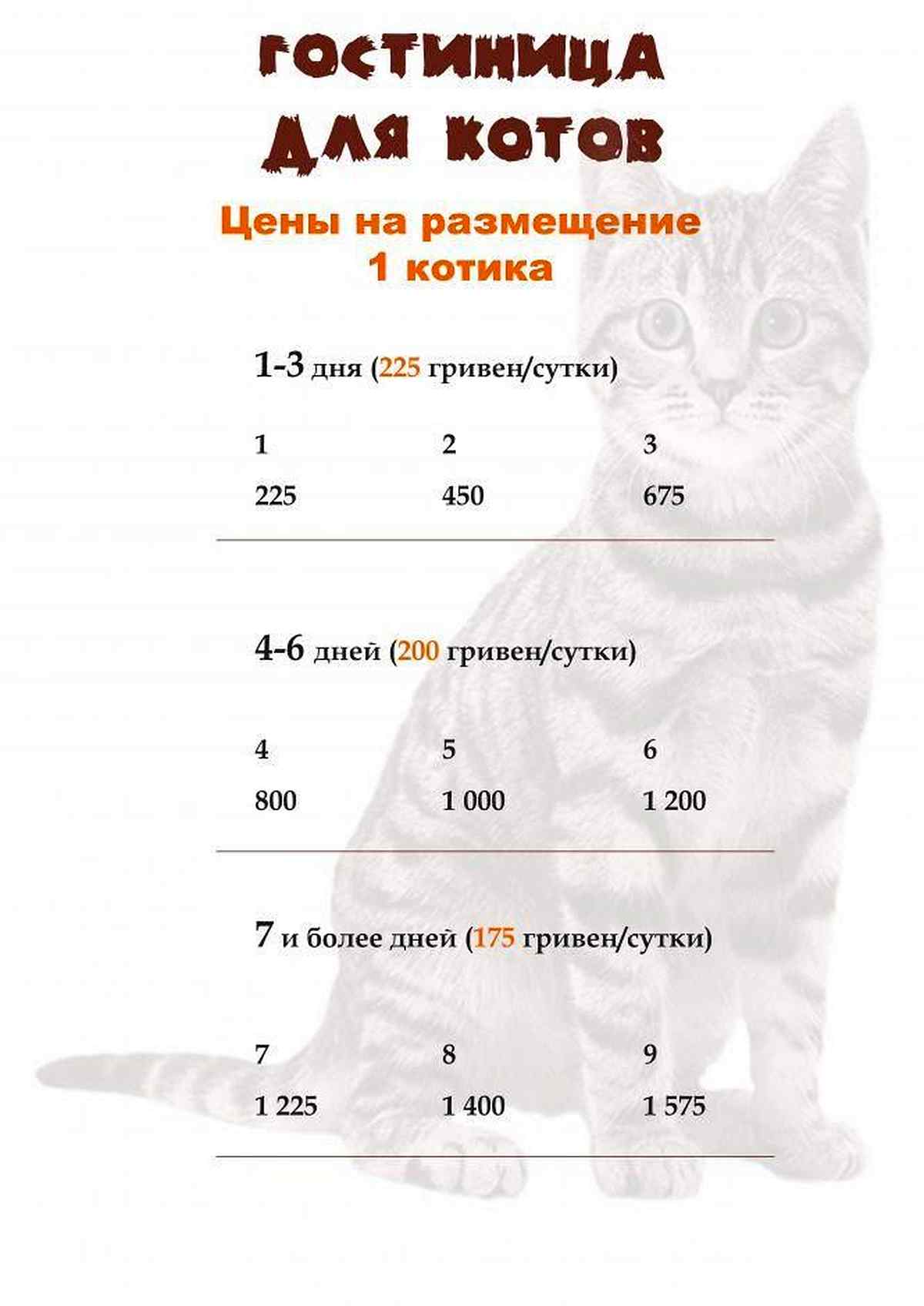 koty-vinnitsia-gotel-4 1