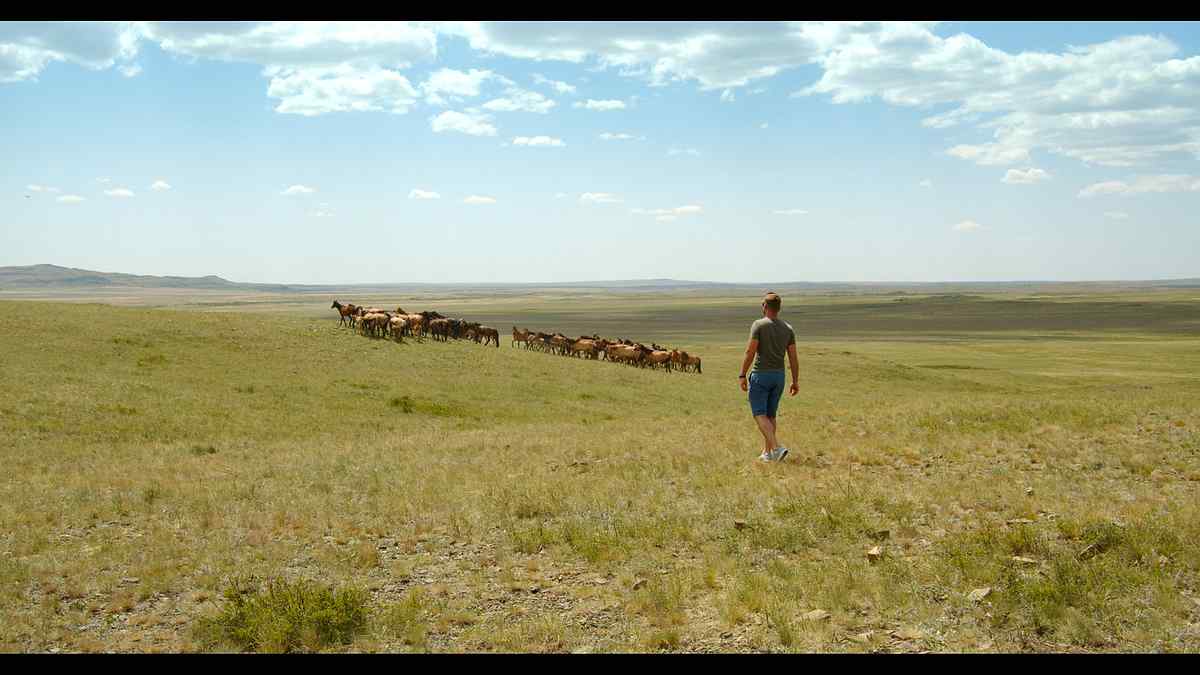 film-kazak-. 1 1