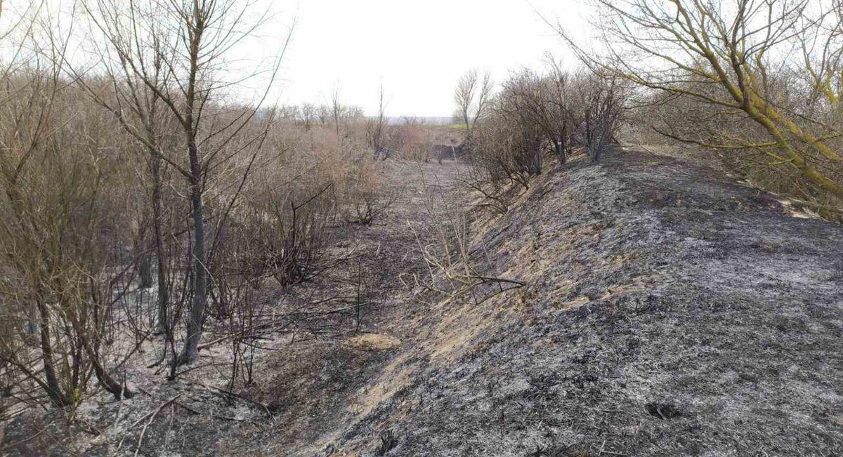 photo 2020-03-28 18-59-41