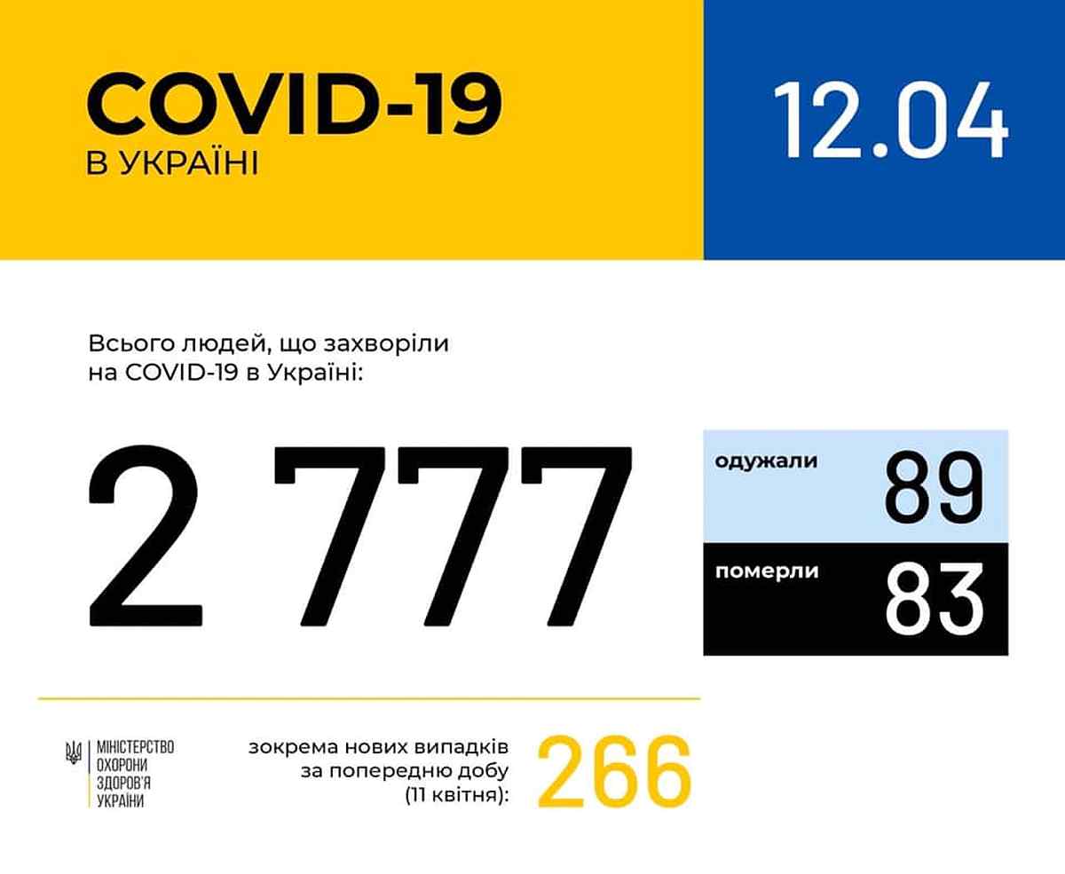 92965809 1506576299505470 8103209085333143552 n 1