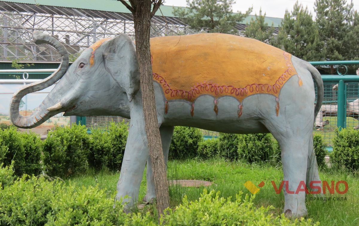 zoo4