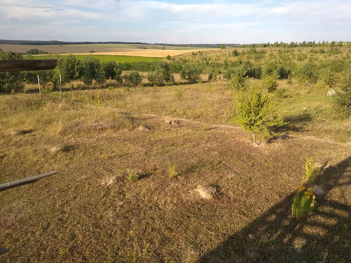 golubev1