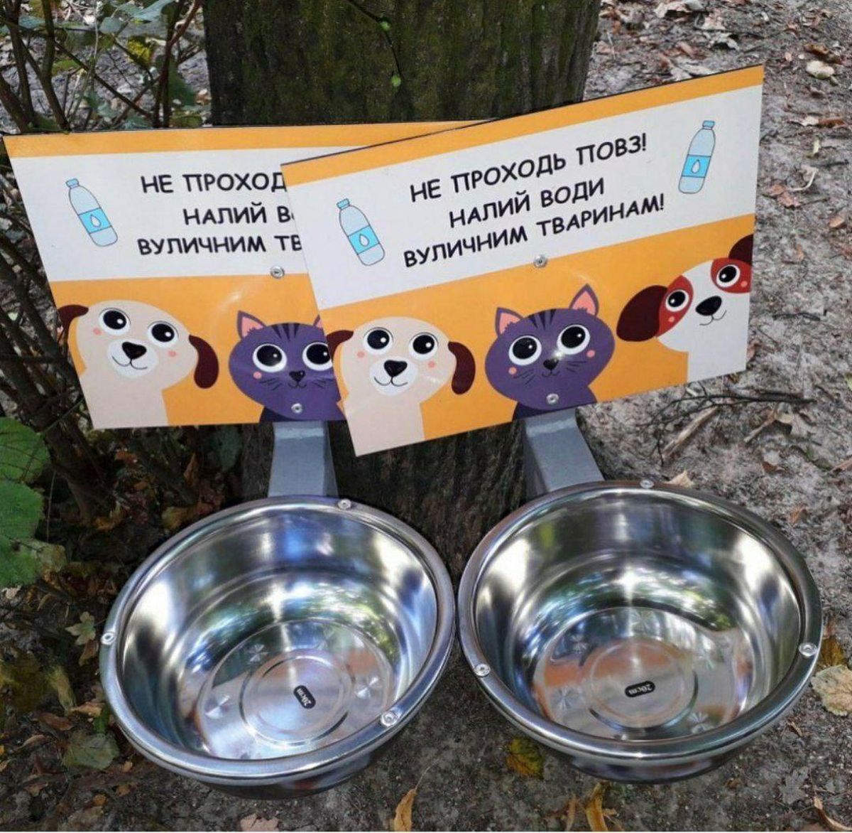 mysky-vinnitsia-tvaryny-1 1