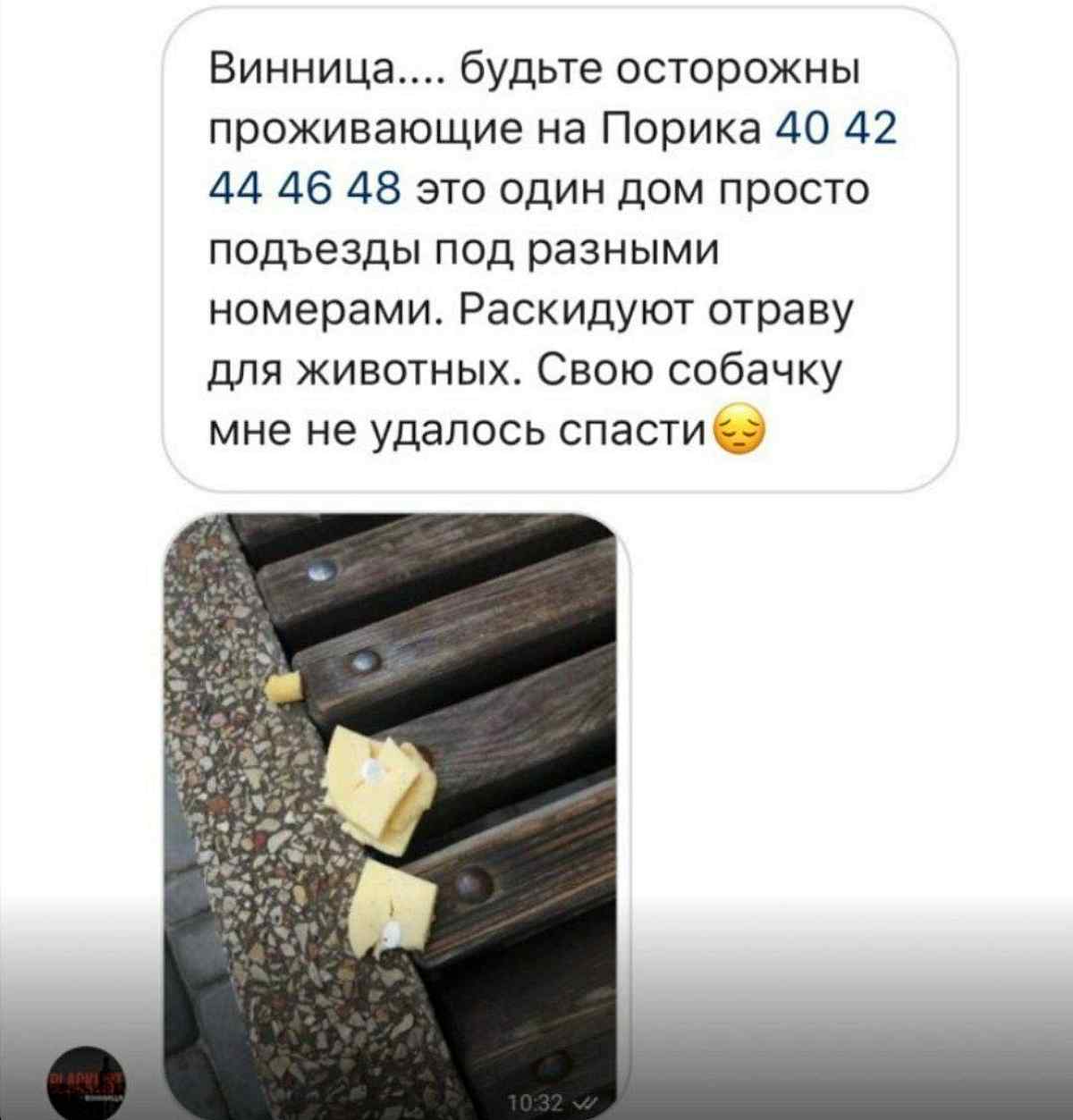otryily-sobaky-vinnitsia- 1