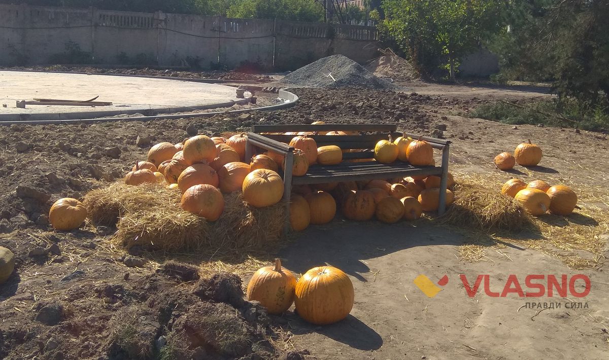pumpkin