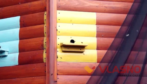 вулик фото