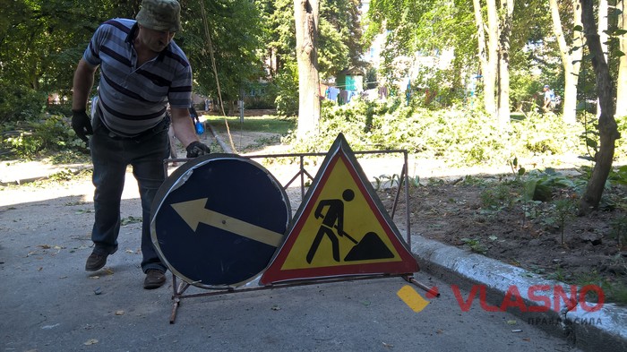 зпилювання гілок фото
