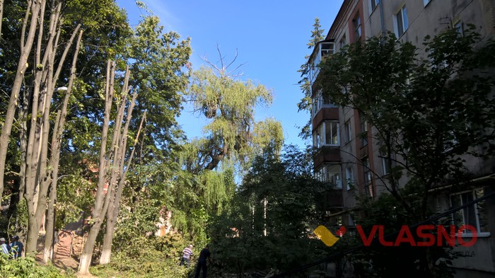 зпилювання гілок фото