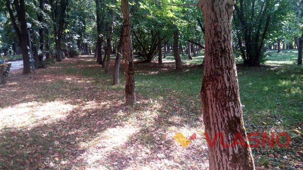 Очевидці запевняють, що у центральному парку Вінниці є поховання