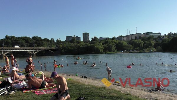 Пальми з арматури та пластику «виросли» над Бугом