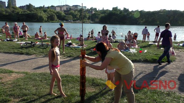 Пальми з арматури та пластику «виросли» над Бугом