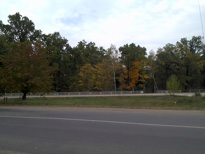 Турбівський парк фото