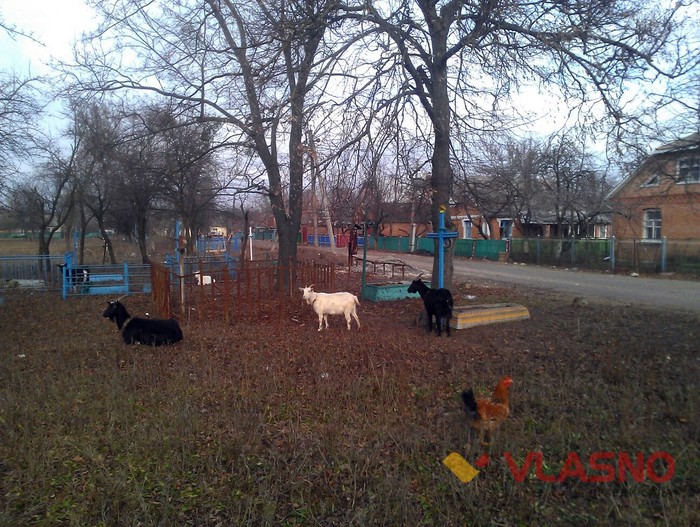 кладовище в Іллінцях фото