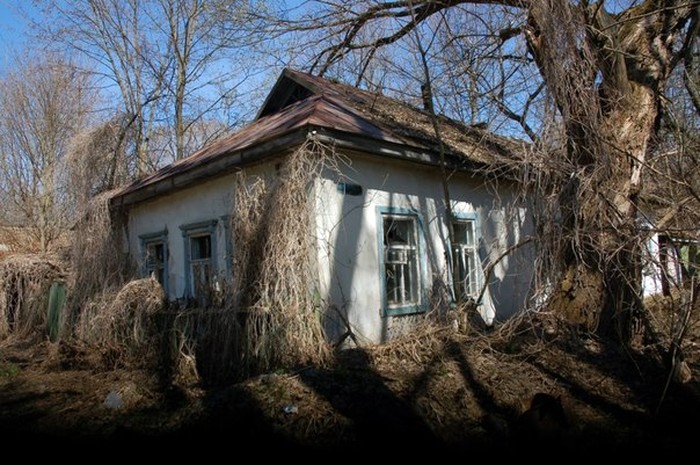 село Ромашка фото