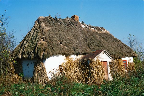 134esnivka