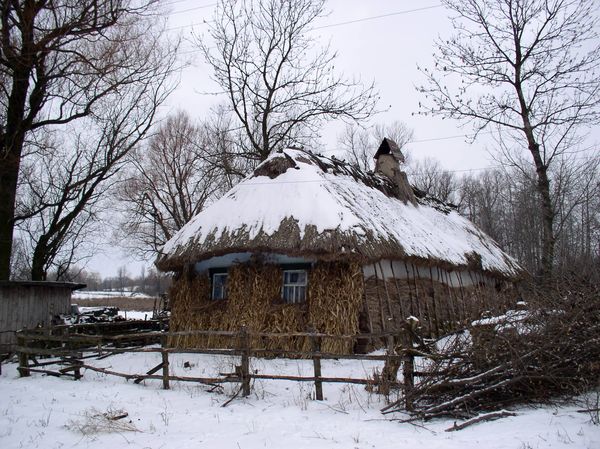 8kotyjunci
