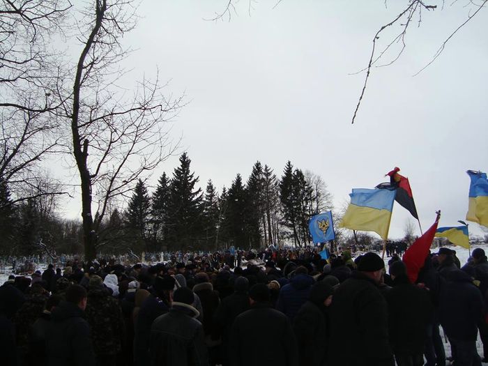 Roshanskiy-8