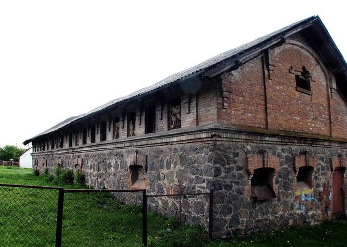 Дашівський замок фото