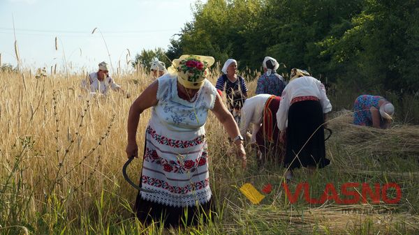 svyato-vrojayu-11
