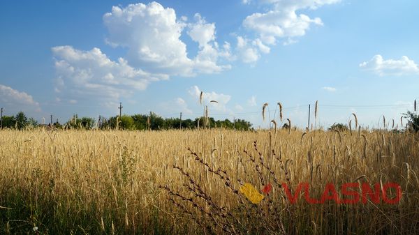 Під Жмеринкою дідухом відроджували народні традиції 