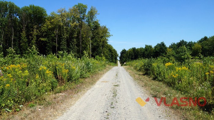 дорожні знаки біля села Гущинці фото