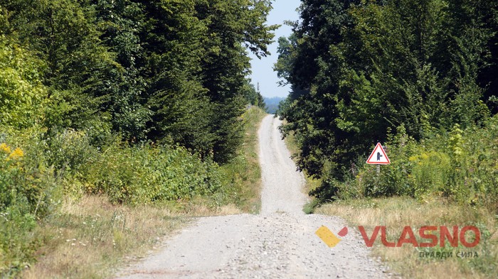 дорожні знаки біля села Гущинці фото