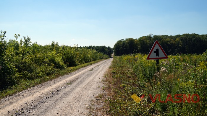 дорожні знаки біля села Гущинці фото