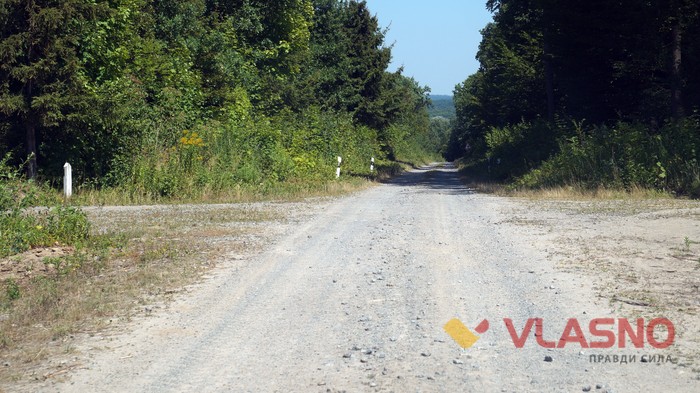 дорожні знаки біля села Гущинці фото