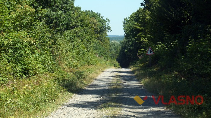 дорожні знаки біля села Гущинці фото