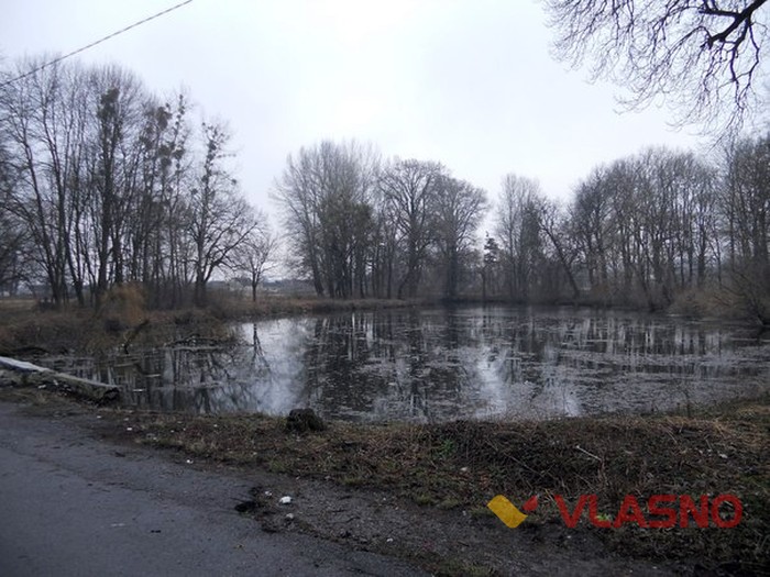 Браїлів фото