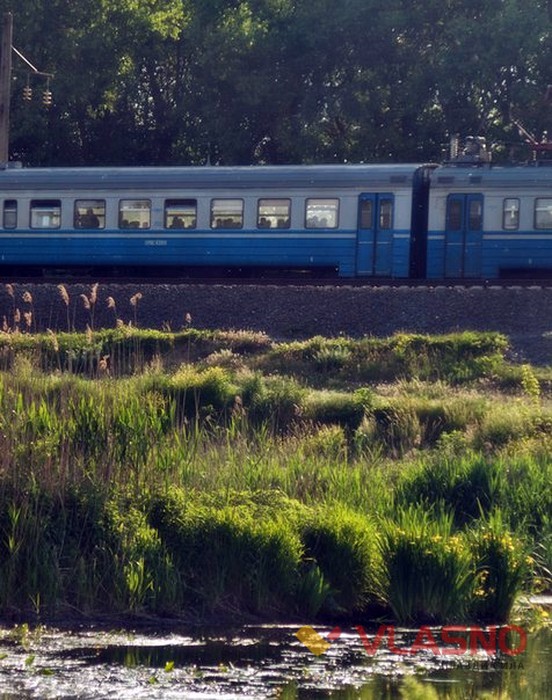 поля біля Стрижівки фото