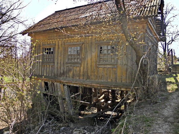 млин у селі Савинці Тростянецького району фото