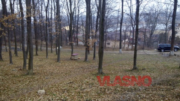 Sobakavlisi