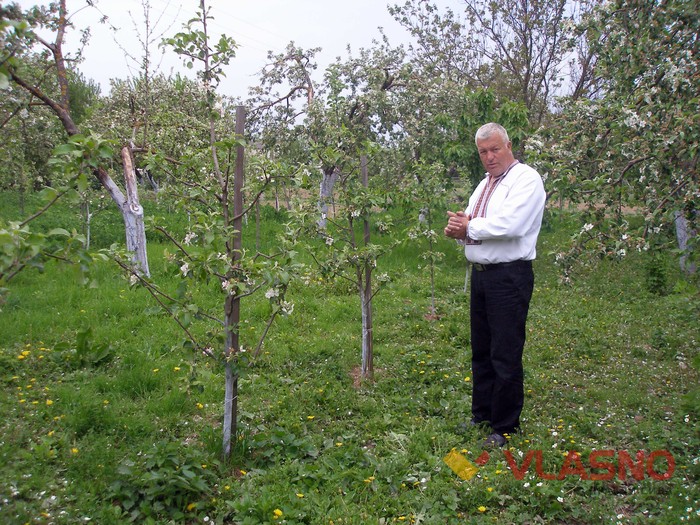 родина Білозор фото