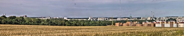  «тунель кохання» біля селища Шкуринці на Вінниччині фото