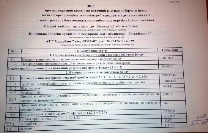 фінансовий звіт партії Батьківщина фото