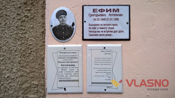 вінницька Єрусалимка фото