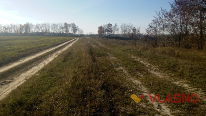 родовище глини у селі Лисогора фото