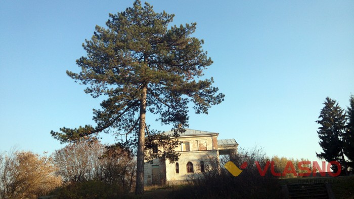 палац Холоневських у селі Гущинці фото